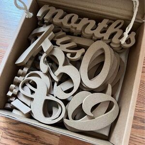 Baby Milestone Wooden Numbers & Letters